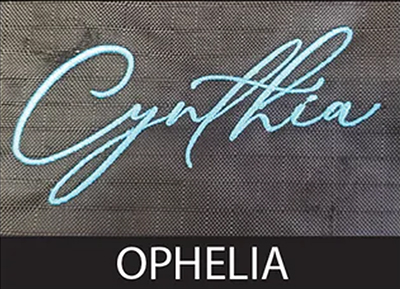 Image for choice number 2